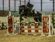 Lucky della Verdina TosTour2013- S5 3237 : Arezzo, Arezzo Equestrian Centre, Cavalli d'Italia, Lucky della Verdina, Toscana Tour 2013, foto di Stefano Secchi ©